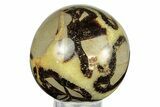 Polished Septarian Sphere - Madagascar #260032-1